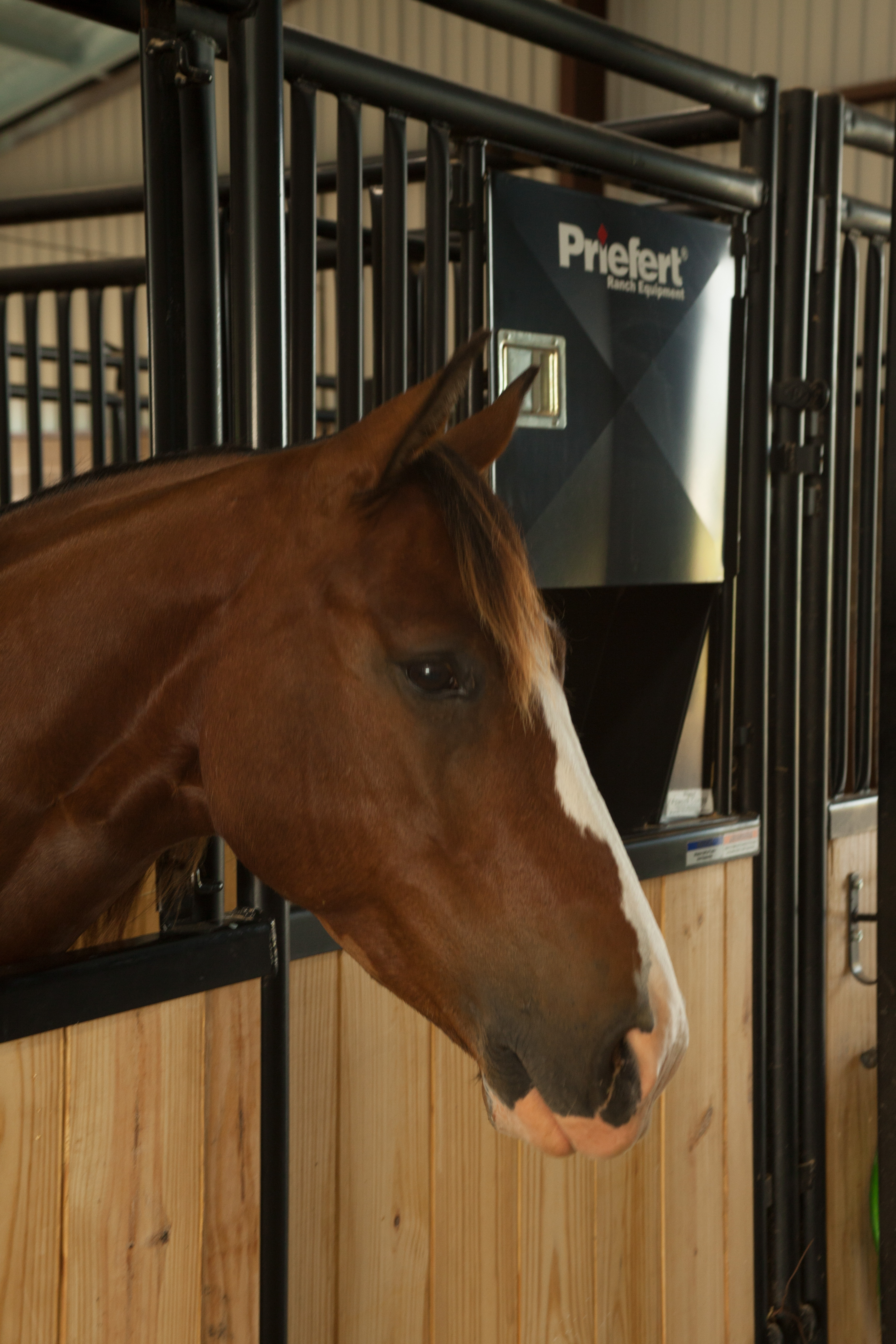 HSF HorseStalls Bynum 23.jpg